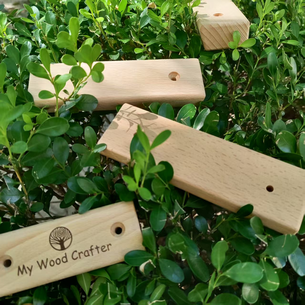 Wooden Campus Rungs