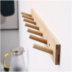 Multi-Hook Wall Organizer