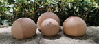 Wood Holds-Half / Over Half Ball / Slope&Jug