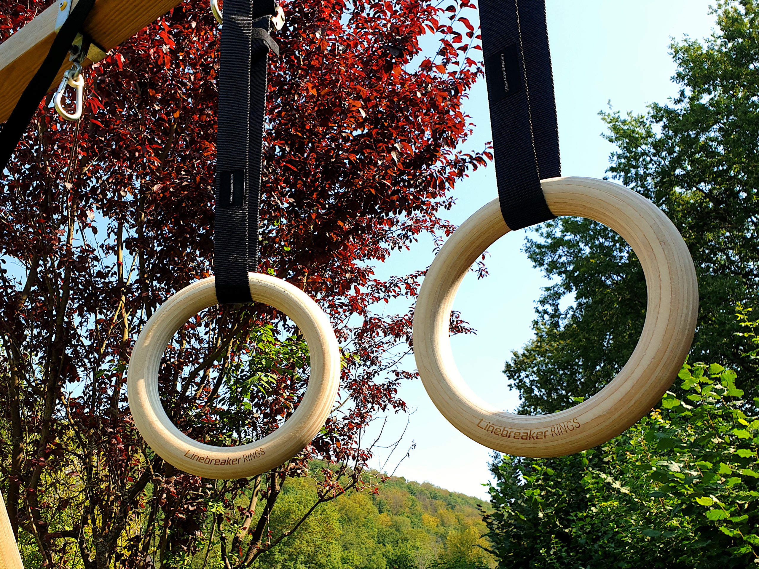 Wooden Rings