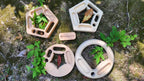 Wooden Rings